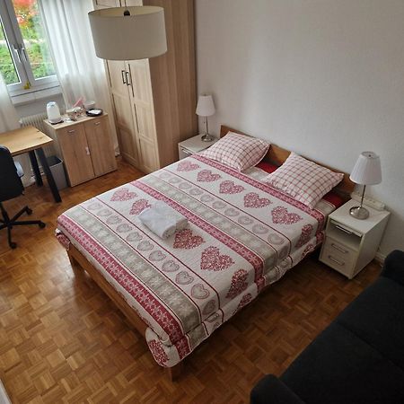 Room In Shared Apartment Geneva Bagian luar foto