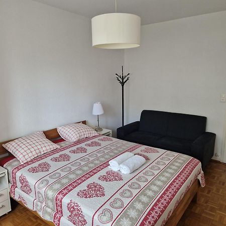Room In Shared Apartment Geneva Bagian luar foto