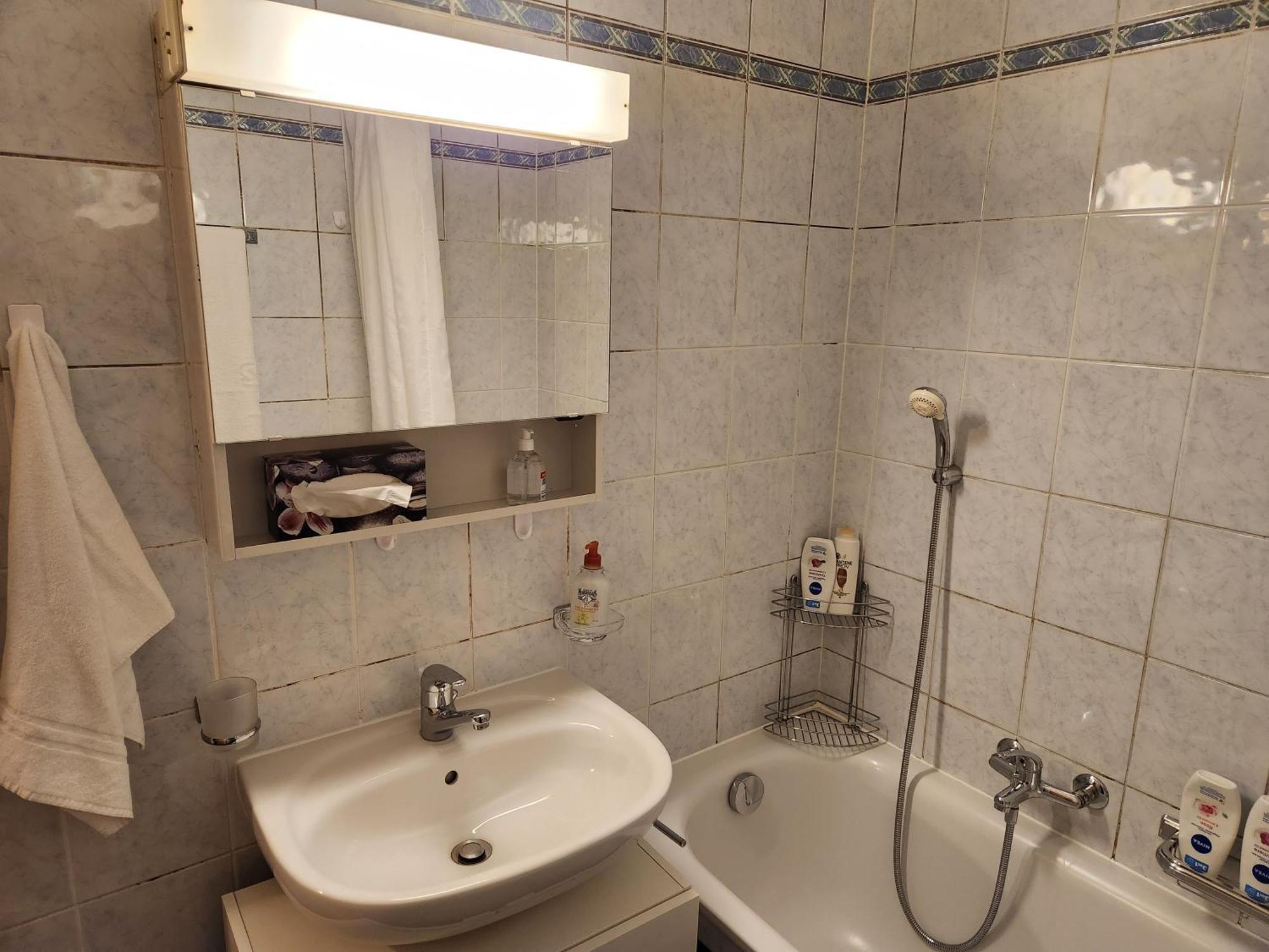 Room In Shared Apartment Geneva Bagian luar foto