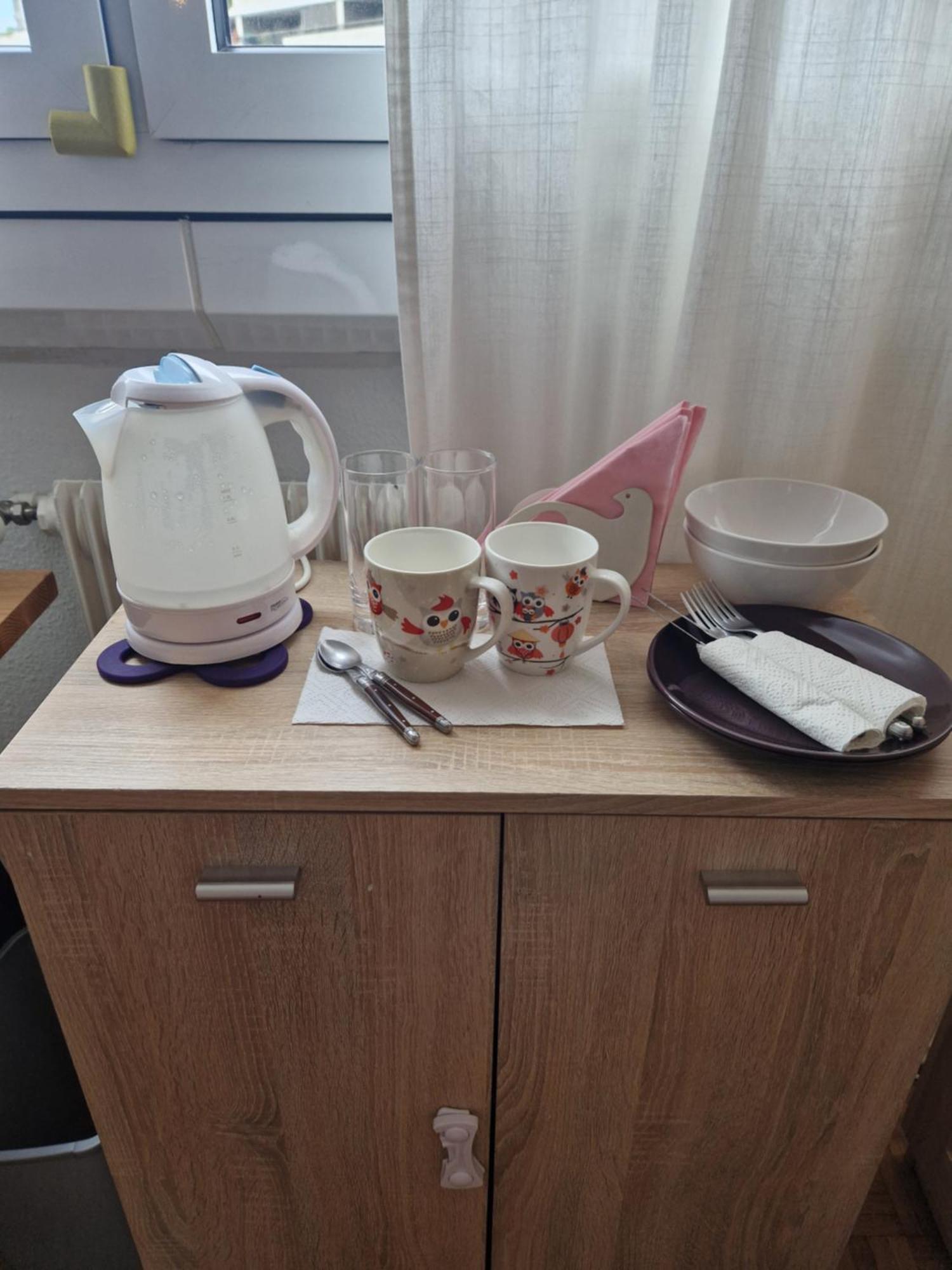 Room In Shared Apartment Geneva Bagian luar foto