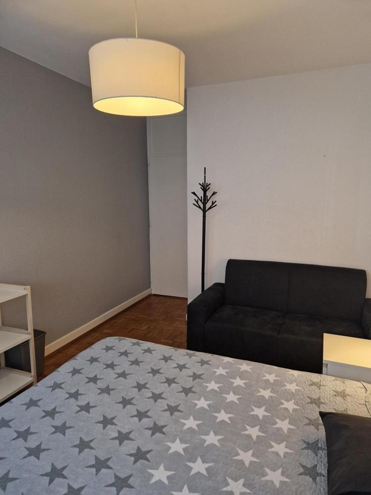 Room In Shared Apartment Geneva Bagian luar foto